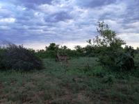 IMG_20190109_060545