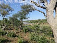 IMG_20190109_075332