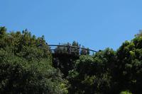 IMG_2772