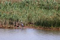 IMG_3639