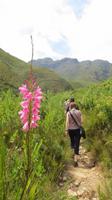 Jonkershoek Naturreservat