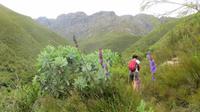 Jonkershoek Naturreservat