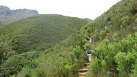 Jonkershoek Naturreservat
