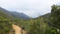 Jonkershoek Naturreservat