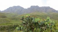 Jonkershoek Naturreservat