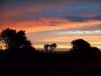 Kariega Wildreservat (Sonnenuntergang am 24.02.)