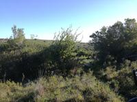 Kariega Wildreservat