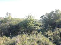 Kariega Wildreservat