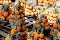 Lecker Ananas