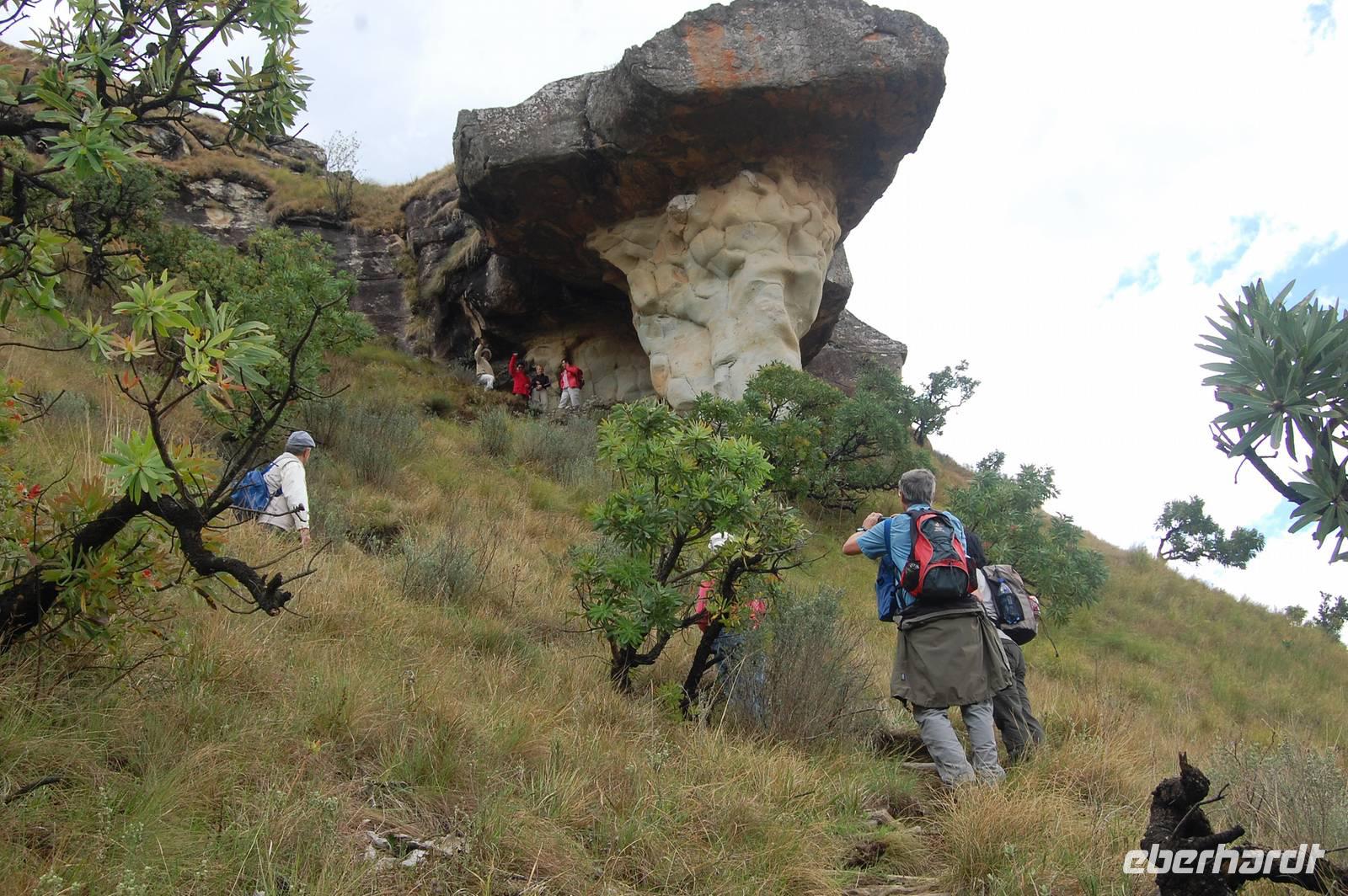 Mushroom-Rock