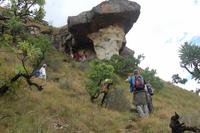 Mushroom-Rock