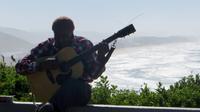 Musiker Wilderness