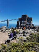 Oben auf dem Tafelberg in Kapstadt