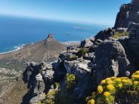 Panorama vom Tafelberg in Kapstadt @ Anette Rietz EHT