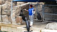 Port Elizabeth, Bayworld Oceanarium