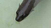 Port Elizabeth, Bayworld Oceanarium