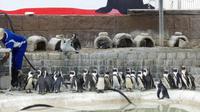 Port Elizabeth, Bayworld Oceanarium