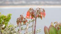 Robberg Naturreservat