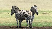 Südafrika  - unterwegs nach Johannesburg