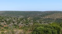Südafrika - Safari im ADDO