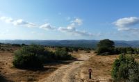 Südafrika - Safari im ADDO