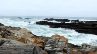 Südafrika - Tsitsikamma Nationalpark