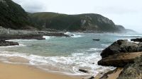 Südafrika - Tsitsikamma Nationalpark