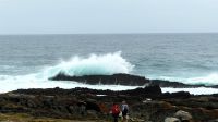 Südafrika - Tsitsikamma Nationalpark