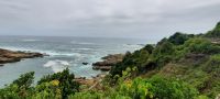 Südafrika - Tsitsikamma Nationalpark