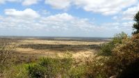 Südafrika -Kruger Nationalpark -  Landschaft & Gegend