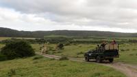Safari im Kariega Wildreservat