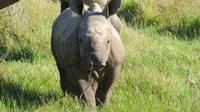 Safari im Kariega Wildreservat