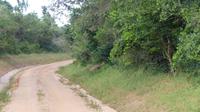 Shimba Hills, Buschbock