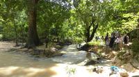 Shimba Hills, Sheldrick Nature Trail 