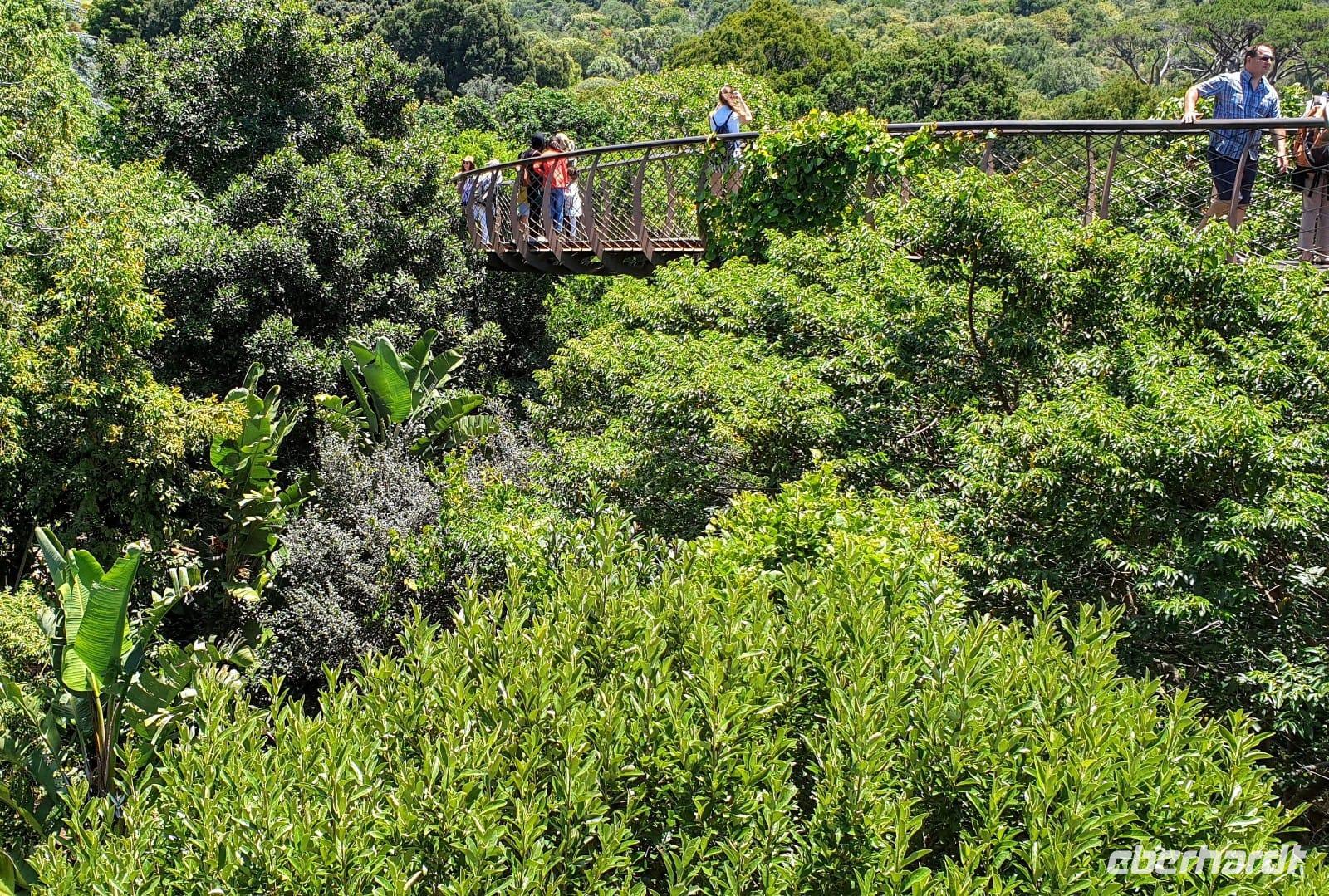 Skywalk in Botanischen Garten Kirstenbosch 