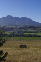 Stellenbosh