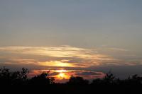 Sundowner im Busch