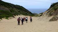 Wanderung im Robberg Naturreservat