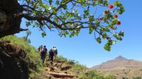 Wanderung zu den Felszeichnungen