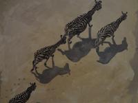 Zebra im Bild