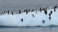 Antarctica, Southern Ocean