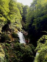  Wasserfall La Virgen, Naturschutzgebiet Rio Simpson, Chile.