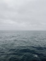 Auf dem Weg zur Antarktis!