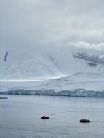 Anvers Insel, Antarktis.