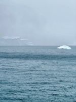 Anvers Insel, Antarktis.