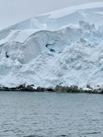 Anvers Insel, Antarktis.