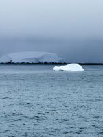 Anvers Insel, Antarktis.
