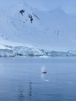 Graham Land, Antarktis.