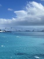 King George Insel, Antarktis.