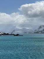 King George Insel, Antarktis.